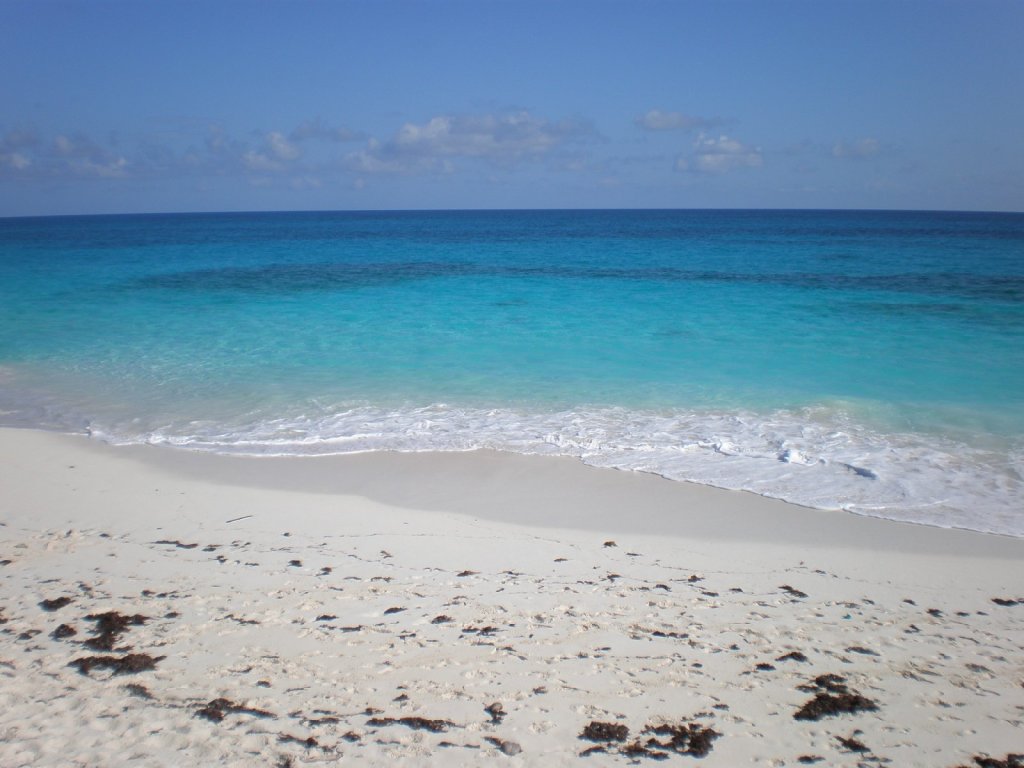 Compass: Direction Danger! Chapter&nbsp;2