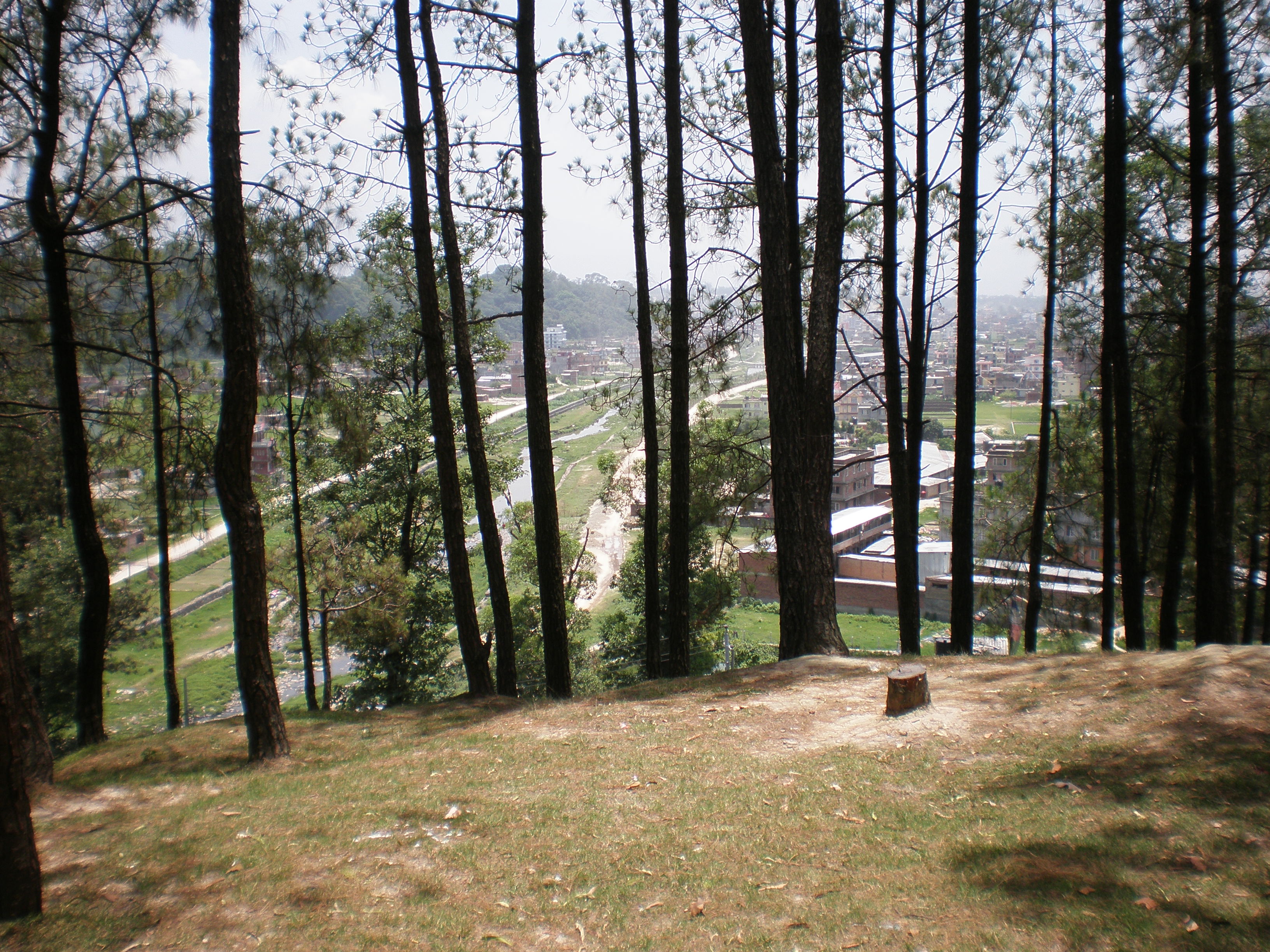 OLYMPUS DIGITAL CAMERA