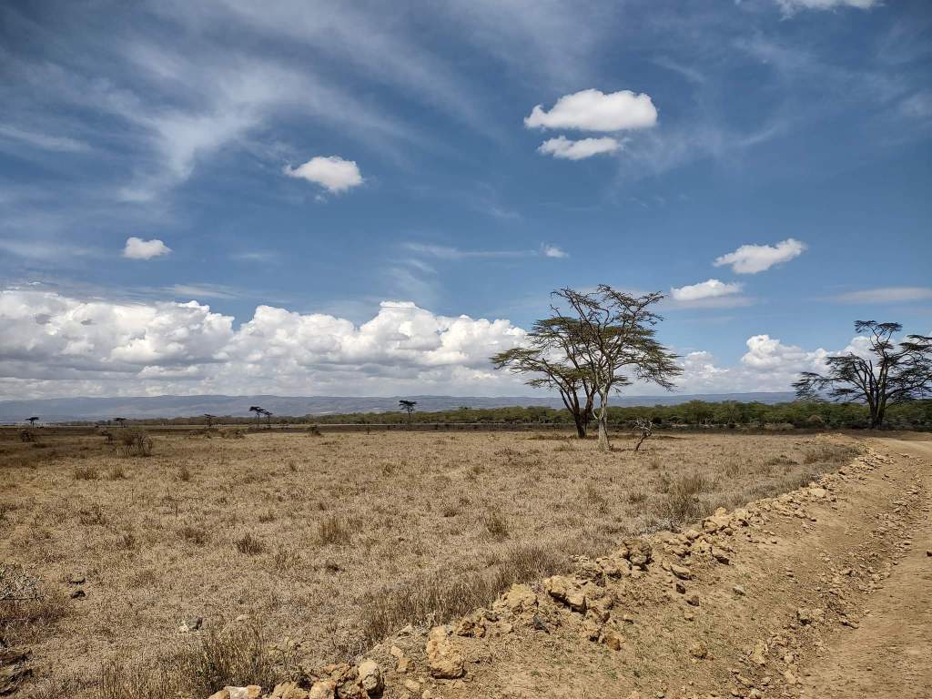 Sarova Lion Hill Game Lodge,&nbsp;Kenya